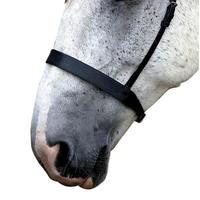 Requisite Flat Cavesson