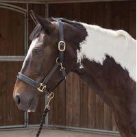 Requisite Diamante Edge Headcoll...