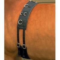 Requisite Neoprene Training Roller