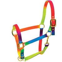 Requisite Multi Headcollar