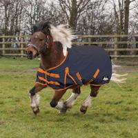 Requisite Cavalier Standard Medium Pony Turnout