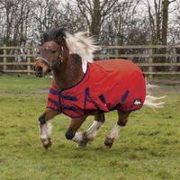 Requisite Cavalier Standard Medium Pony Turnout