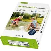 Recycled printer paper Papyrus Recyconomic Evolution 88054052 DIN A4 80 gm² 500 Sheet