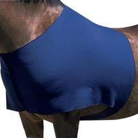 Requisite Stretch Vest