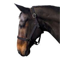 Requisite Economy Headcollar