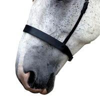 Requisite Flat Cavesson