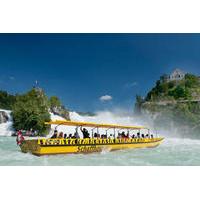 rhine falls half day trip from basel with hotel pick and drop off