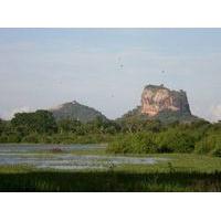 RHO Sigiriya