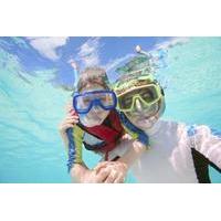 Riviera Maya Combo: Chichen Itza Tour plus Zipline and Snorkel Adventure