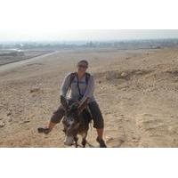 Ride a Donkey Along the West Bank from Luxor