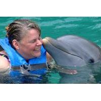 Riviera Maya Small-Group Wildlife Adventure: Manatees and Dolphins