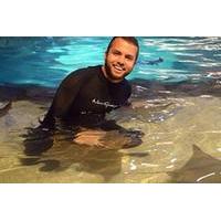 Ripley\'s Aquarium of Canada: Snorkel with Stingrays Experience
