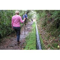 Ribeiro Frio Portela - Levada Walk