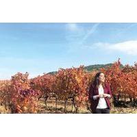 Rioja and Navarra Wineries Tour from San Sebastian