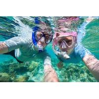 Rincon Snorkeling Adventure