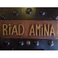 Riad Amina