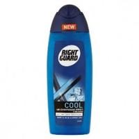 Right Guard Shower Cool Impact 250ml