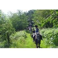 Riding Hack at Bilsdale Riding Centre