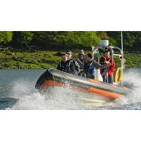 RIB Powerboating for Two in Wales