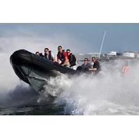 RIB Powerboat Thrill for Two