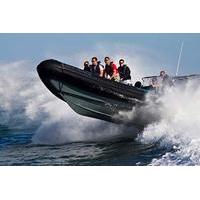 rib powerboat thrill