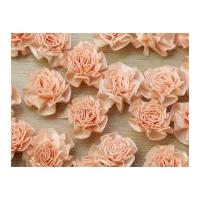 ribbon rosette pale peach