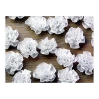 ribbon rosette white