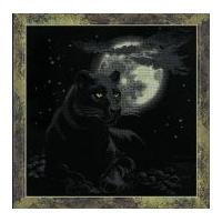 riolis counted cross stitch kit full moon 475cm