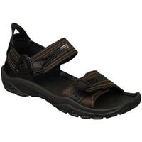 rider trial mens sandals in brown