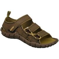 rider venture ad exp mens sandals in brown