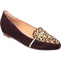 Riva Taranto Suede women\'s Shoes (Pumps / Ballerinas) in brown
