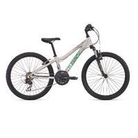 ridgeback mx24 silver 2017 kids bike