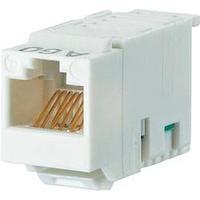 rj45 module keystone cat 6 metz connect 130a10 i