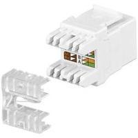 RJ45 module Keystone CAT 5e Goobay 95738