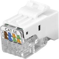 rj45 module keystone cat 5e goobay 95739