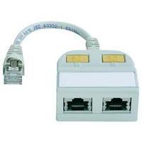 RJ49 Networks Y adapter CAT 5e [2x RJ45 socket - 1x ] 0.15 m White Telegärtner