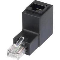 RJ49 Networks Adapter CAT 5e [1x RJ45 plug - 1x RJ45 socket] 0 m Black Renkforce