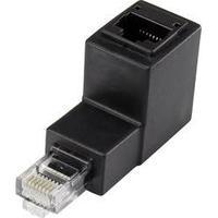 RJ49 Networks Adapter CAT 5e [1x RJ45 plug - 1x RJ45 socket] 0 m Black Renkforce