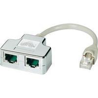 RJ49 Networks Y adapter CAT 5e [2x RJ45 socket - 1x RJ45 plug] 0.15 m Metal EFB Elektronik