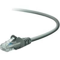 RJ49 Networks Cable CAT 5e U/UTP 1 m Grey incl. detent Belkin