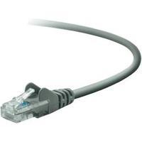 RJ49 Networks Cable CAT 5e U/UTP 30 m Grey incl. detent Belkin