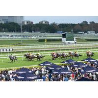 royal randwick horse racing carnival centennial and members reserve ti ...