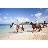 roatan combo tour jungle horseback riding and beach break