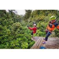 Rotorua Forest Zipline Canopy Adventure