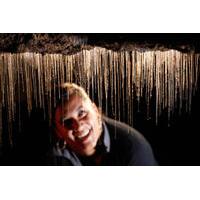 Rotorua to Auckland via Waitomo Glowworm Caves One-Way Tour
