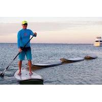 Rockingham Stand Up Paddle Board Lesson and Hire