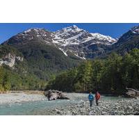 Routeburn Track Private Guided Walk from Queenstown