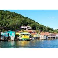 Roatan Shore Excursion: Mangrove Cruise