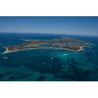 Rottnest Island Tour from Perth or Fremantle including Wildlife Cruise