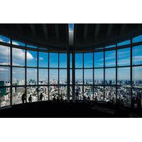 roppongi hills observatory ticket tokyo city view
